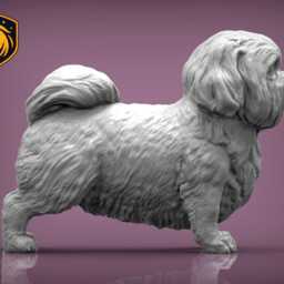 Shih Tzu - Standing Pose - Unpainted Abs Resin Model - Realistic Dog Sculpture - thumbnail 4