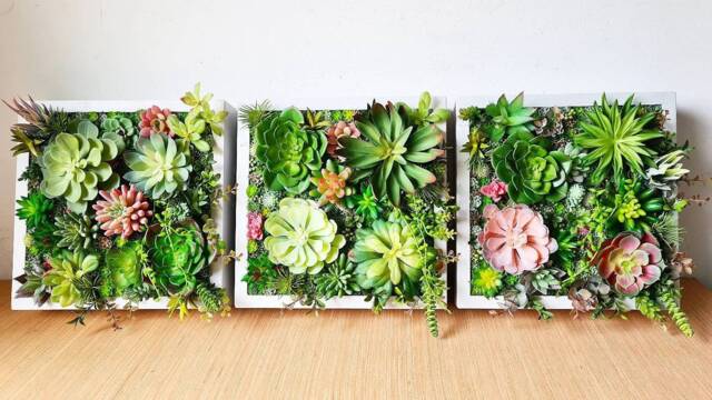 Faux Succulent 3D Wall Art Trio Rustic Wood Framed Plant Decor Home + Business - image 1