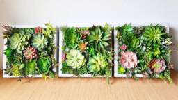 Faux Succulent 3D Wall Art Trio Rustic Wood Framed Plant Decor Home + Business - thumbnail 1