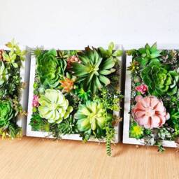 Faux Succulent 3D Wall Art Trio Rustic Wood Framed Plant Decor Home + Business - thumbnail 2