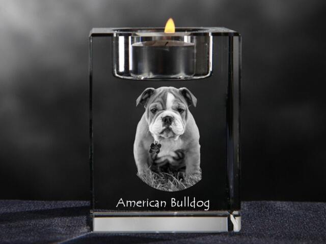 American Bulldog, Crystal Candlestick With Dog, Souvenir, Decoration, Limited Edition, Collection - image 1