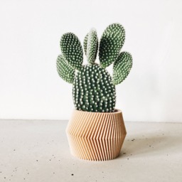 Geometric Indoor Planter Printed in Wood - Dissipat - thumbnail 1