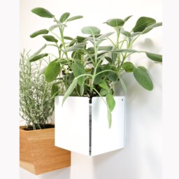 Magnetic Steel Planter Box Wall Mounted Herb Garden - thumbnail 3