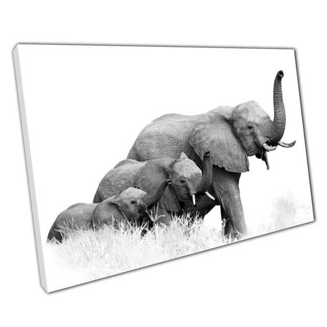 Majestic African Elephant Wall Art Black & White Canvas Print For Home Or Office Decor - image 1