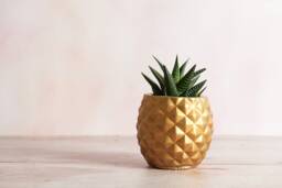3D Concrete Pineapple Plant Pot - thumbnail 1
