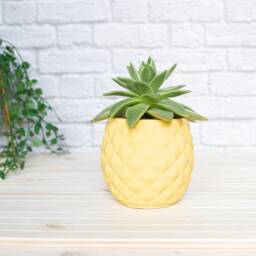 3D Concrete Pineapple Plant Pot - thumbnail 2