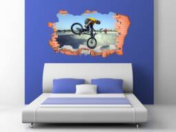 Full Colour Bmx Wall Art, Modern Transfer, PVC Decal, 3D Window, Sticker