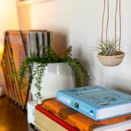 Minimal Wood + Leather Air Plant Hanger - thumbnail 2