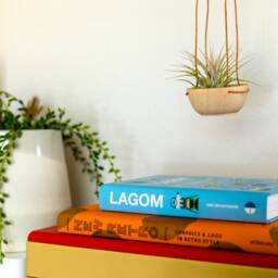 Minimal Wood + Leather Air Plant Hanger - thumbnail 4