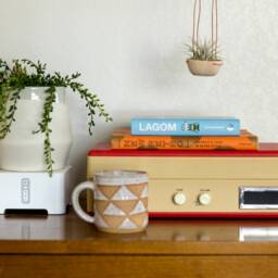 Minimal Wood + Leather Air Plant Hanger - thumbnail 3
