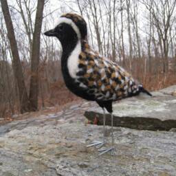 Mr. Pacific Golden Plover, Needle Felted Bird Fiber Sculpture - thumbnail 2