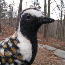 Mr. Pacific Golden Plover, Needle Felted Bird Fiber Sculpture - thumbnail 3