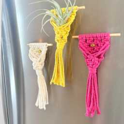 Macrame Air Plant Magnet - Braided Hanger Display Holder Decor Spring Boho Kitchen Mother's Day Gift - thumbnail 2