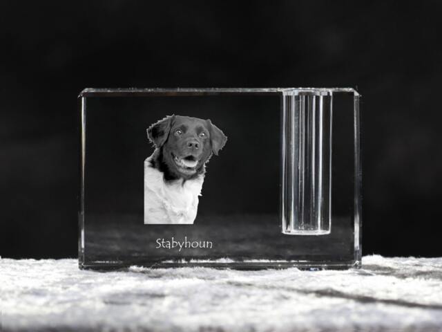 stabyhoun , Crystal Pen Holder With Dog, Souvenir, Decoration, Limited Edition, Collection - image 1