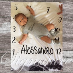 Baby Mountains Milestone Blanket, Personalized Girl Monthly Name Minky, Fleece, Shower Gift