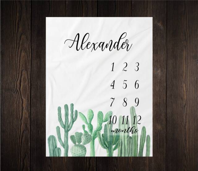 Succulent Milestone Blanket Month Growth Tracker Minky Fleece Custom Personalized Baby Shower Gift Watercolor Cactus - image 1
