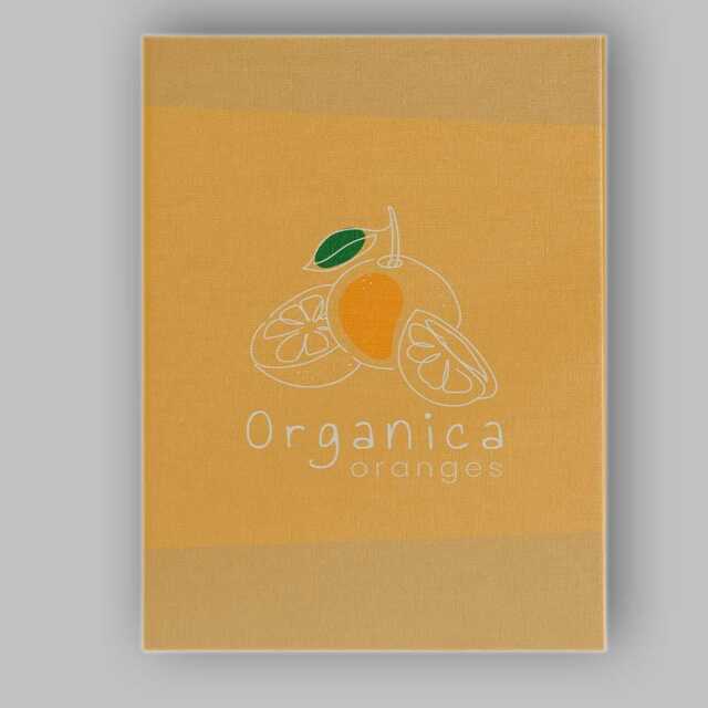 Minimalist Organic Orange Citrus Fruit Line Art Canvas Wall Print Decor Picture Ready To Hang - image 1