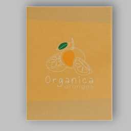 Minimalist Organic Orange Citrus Fruit Line Art Canvas Wall Print Decor Picture Ready To Hang - thumbnail 1