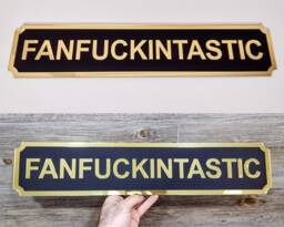 Fanfuckintastic Street Style Sign, Acrylic Wall Shelf Decor, Door Frame Art, Novelty Sign Gift For Him Her - thumbnail 1