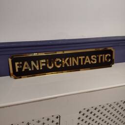Fanfuckintastic Street Style Sign, Acrylic Wall Shelf Decor, Door Frame Art, Novelty Sign Gift For Him Her - thumbnail 2
