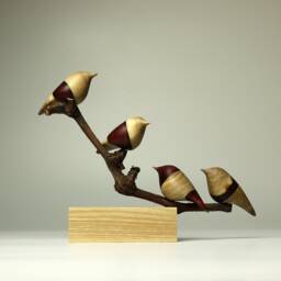 Duo Family Birds - 15 - thumbnail 1