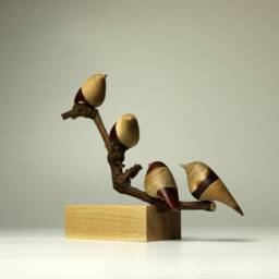 Duo Family Birds - 15 - thumbnail 2