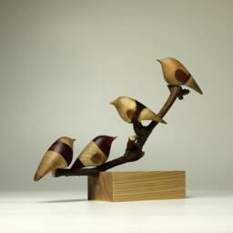 Duo Family Birds - 15 - thumbnail 3
