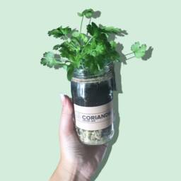 Indoor Herb Garden Grow Your Own Kit - Eco Care Hamper Gift For Her Or Him. Perfect Beginners As A Birthday Gift Christmas - thumbnail 2