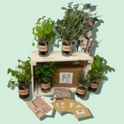 Indoor Herb Garden Grow Your Own Kit - Eco Care Hamper Gift For Her Or Him. Perfect Beginners As A Birthday Gift Christmas