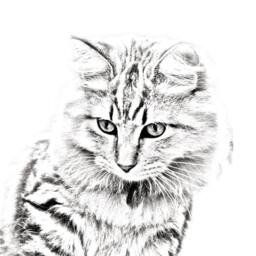 American Bobtail - Wooden Stand For Candles/Pens With The Image Of A Cat New Collection - thumbnail 2