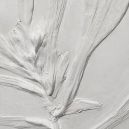 Tile Hosta Flowers Cast. Botanical Decorative Unique Plaster Wall Art Frame Wood Concrete Impression Pressed Flowers Eco Friendly - thumbnail 3