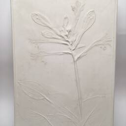 Tile Hosta Flowers Cast. Botanical Decorative Unique Plaster Wall Art Frame Wood Concrete Impression Pressed Flowers Eco Friendly - thumbnail 2