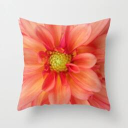 Orange & Pink Dahlia Pillow, Summer Floral Pillowcase, Photo Pillow Case, Pretty Pillowcase, 16x16 Cover, 18x18 Canvas Throw - thumbnail 1
