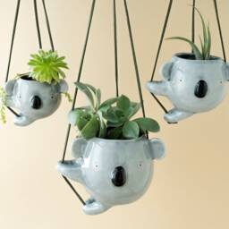 Ceramic Koala Hanging Planter Pot For Small Plants. Unique Vase Handmade in Italy - thumbnail 3