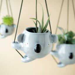 Ceramic Koala Hanging Planter Pot For Small Plants. Unique Vase Handmade in Italy - thumbnail 2