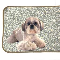 Shih Tzu Dog Mat, Anti-Slip Pet Rug - 15x21 - thumbnail 3
