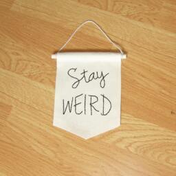 stay Weird Banner, Mini Embroidered Banner Quote, Valentine Gift, Birthday Funny Wall Decor, Wall Hangin - thumbnail 2