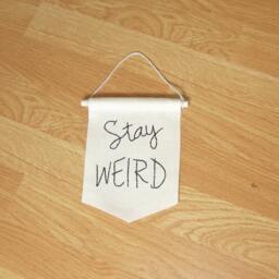 stay Weird Banner, Mini Embroidered Banner Quote, Valentine Gift, Birthday Funny Wall Decor, Wall Hangin - thumbnail 3