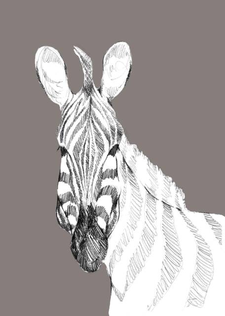Zebra Illustration, Kids Illustration, Animals Room Baby Decor, Wall Print 21x30 - image 1