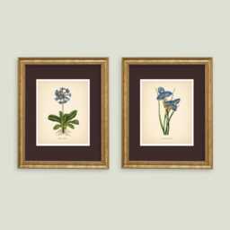 Blue Flowers Vintage Botanical Prints Set Of 2 Poster Wildflower Print Neutral Decor Wall Art - thumbnail 2