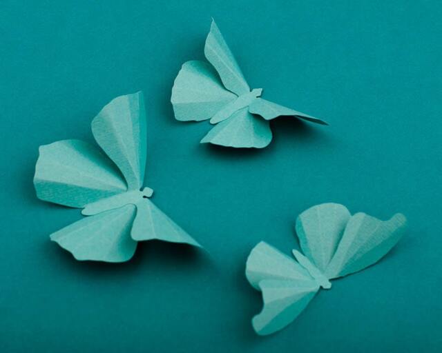 3D Wall Butterflies Robin's Egg Butterfly Silhouettes For Girls Room, Nursery, & Home Decor - image 1