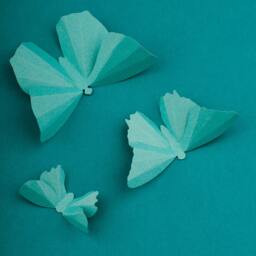 3D Wall Butterflies Robin's Egg Butterfly Silhouettes For Girls Room, Nursery, & Home Decor - thumbnail 3