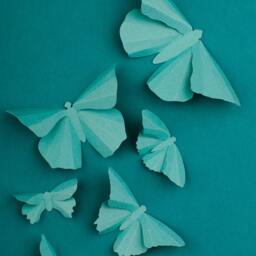 3D Wall Butterflies Robin's Egg Butterfly Silhouettes For Girls Room, Nursery, & Home Decor - thumbnail 2