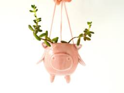 Flying Pig Hanging Plant Holder. A Cute Shaped Vase in Ceramic. Handmade Italy
