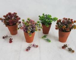 Faux Plants in Genuine Vintage Terracotta Pots Small Artificial Plant, Green, Autumnal Or Pink