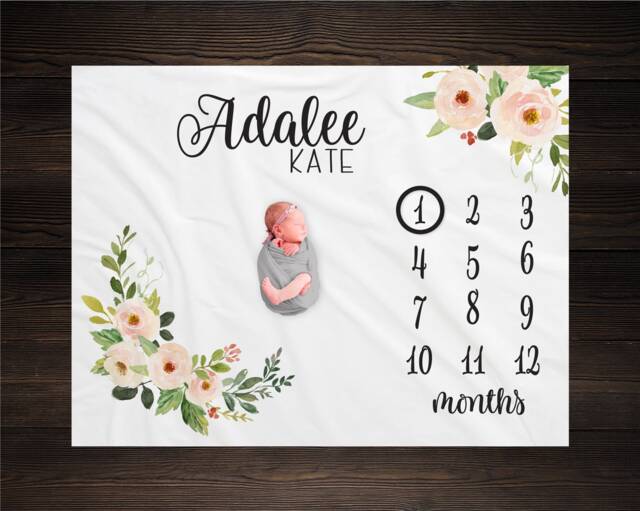 Baby Girl Milestone Blanket Month Growth Tracker Minky Fleece Custom Personalized Shower Gift Watercolor Floral Newborn - image 1