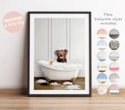 Chocolate Labrador Retriever Dog in A Bath Print, Bathing, Funny Bathroom Animal Bathtub, Tub Whimsy - thumbnail 1