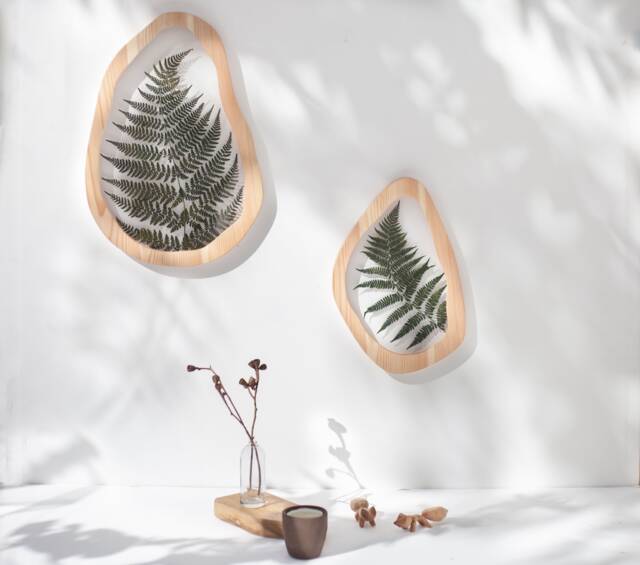 Wavy Frames - Evergreen Pressed Fern Set Of Two Asymmetrical Flower Frame Herbarium Botanical Wall Art - image 1