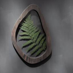 Wavy Frames - Evergreen Pressed Fern Set Of Two Asymmetrical Flower Frame Herbarium Botanical Wall Art - thumbnail 4