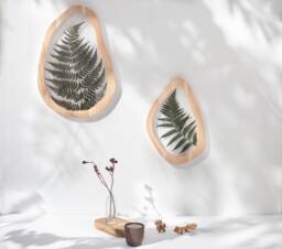 Wavy Frames - Evergreen Pressed Fern Set Of Two Asymmetrical Flower Frame Herbarium Botanical Wall Art - thumbnail 1